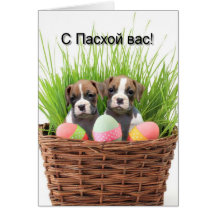 С Пасхой вас Russian Happy Easter boxer pups card