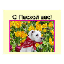 Христос воскрес Happy Easter boxer puppy card Post Cards