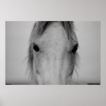 003 PRINT