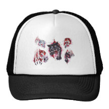 0067_1.jpg hats