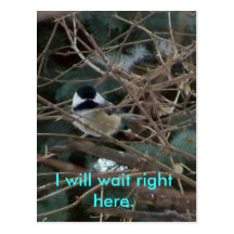 027, I will wait right here. Post Card
