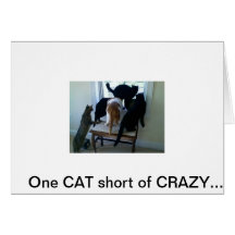 042310_09301[1], One CAT short of CRAZY.... Card