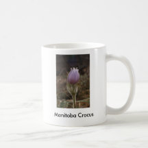 046a, Manitoba Crocus Coffee Mugs