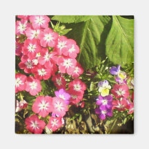 1000 Smiles - Beautiful Natural Flower Arrangement Magnet