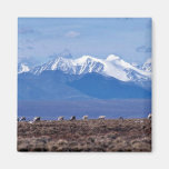 1002 Area: Caribou with mountain backdrop Fridge Magnet