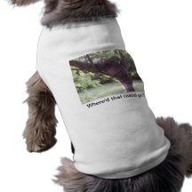 100_0713, Where'd that rascal go? Pet T Shirt
