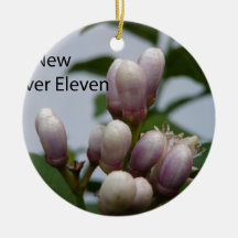 1013 The New Clever Eleven Cover Photo Ornament