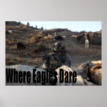 101st Airborne Posters
