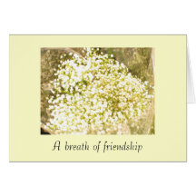 102_0231breath of friendship greeting card