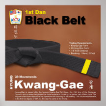 10-12 1st Dan Black Belt Do-jang Poster