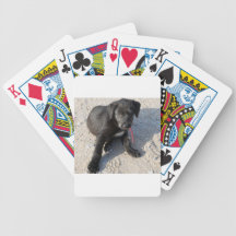 11-22-12.jpg card deck