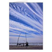 12096 Flying kite Greeting Cards