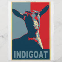 1448603-indigoat personalized flyer
