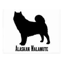 1615112006 Alaskan Malamute (Animales) Post Cards