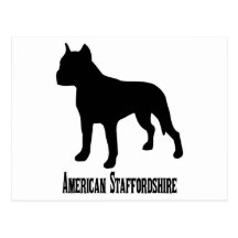 1715112006 American Staffordshire Terrier (Animale Post Card
