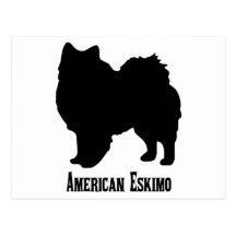 1815112006 American Eskimo (Animales) Postcards