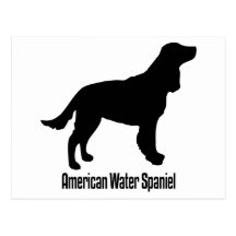 1915112006 American Water Spaniel (Animales) Post Card
