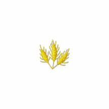 1" Wheat