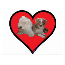 1 your pet Sample Postcards