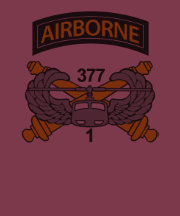 1st Bn 377th AASLT Field Artillery Regiment Shirts