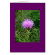 2007_0730naturepicture0038 greeting card