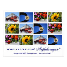 2007 Summer Collection Post Cards