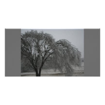 2010 ice storm photo greeting card
