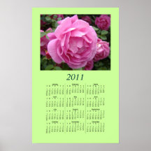 2011 Calendar Poster - pink rose
