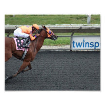 2012 Arlington Race Course Photograph