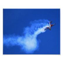 2012 Chicago Air Show Photograph