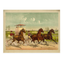 2012 Horses Calendar Postcard