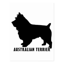 2015042007 Australian Terrier (Animales) Postcards