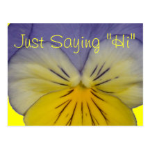 22 Pansy Blue Yellow Postcard