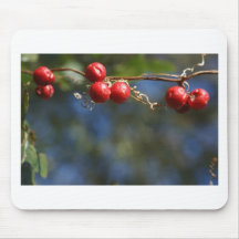 22nd October 060 Mousepads