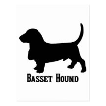 2315112006 Basset Hound (Animales) Post Card