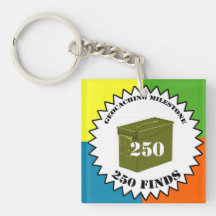 250 Finds Milestone Keychain Acrylic Keychains