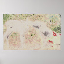 257 POSTERS