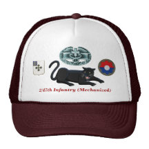 2/47th Infantry "Panthers" CMB Hat