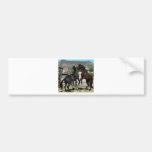 2 Horses in love,Almeria Spain  .Photo Colette Bumper Sticker