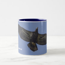 2 Toned Bald Eagle  MUG