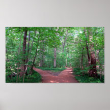 2 way path Poster
