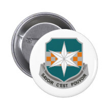 313th MI BN Pins
