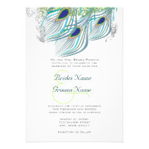3 Aqua Peacock Vintage Feathers Personalized Announcement