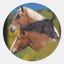 3 mare heads sticker