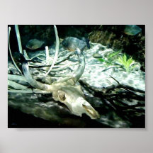 3 POSTERS