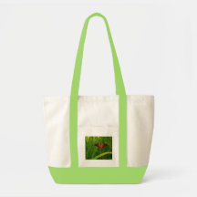 3d-amazing-butterfly bag