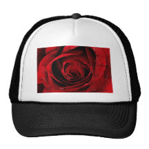 4.jpg hat
