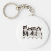 4 kittiens on a bench keychains