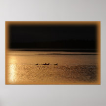 4 loons print