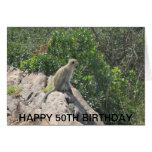 50th Birthday Wishes Card